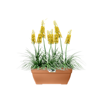 vibia campana terrace trough 80cm terra